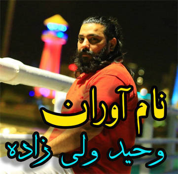 دانلود آهنگ نام آوران وحید ولی زاده